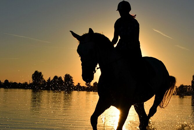 Horseback Ride Through Puerto Plata - Pickup and Transportation Details