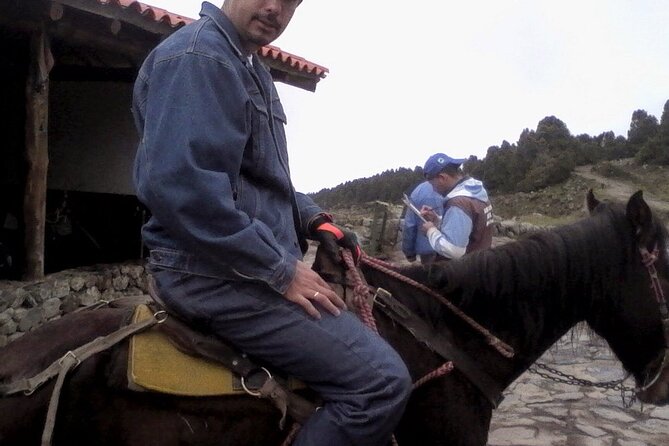 Horseback Riding Along the Beaches of Punta Cana and Macao - Richi Excursiones Services