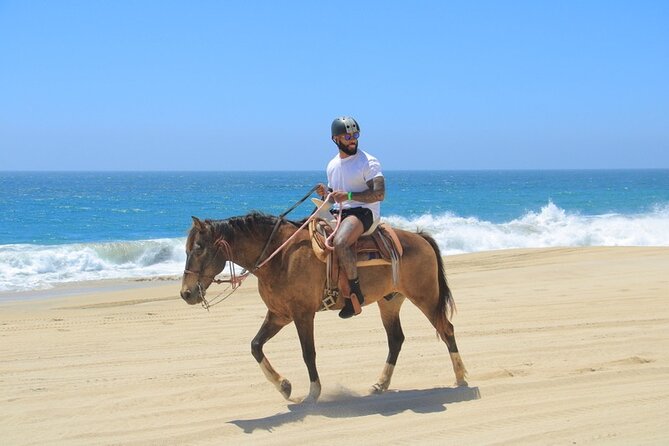 Horseback Riding Beach and Desert Adventure - Meeting and Pickup Details