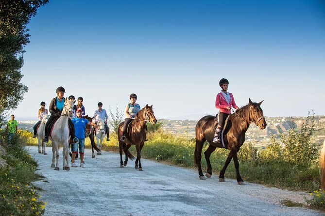 Horses And Vineyards - Meeting and Pickup Options