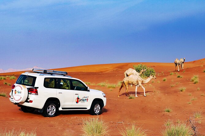 Hot Air Balloon Adventure Ride in Dubai With Hotel Pick up & Drop - Health and Safety Requirements