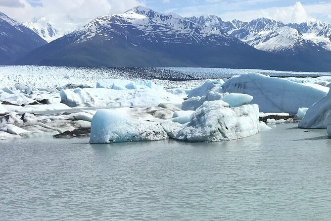 Hover Craft Scenic Tour in Talkeetna, Alaska - Customer Experience and Reviews