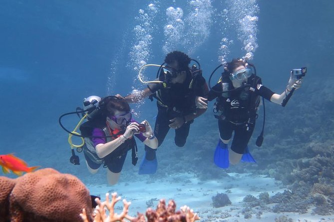 Intro Diving for Beginners - Meeting Points and Pickup Details