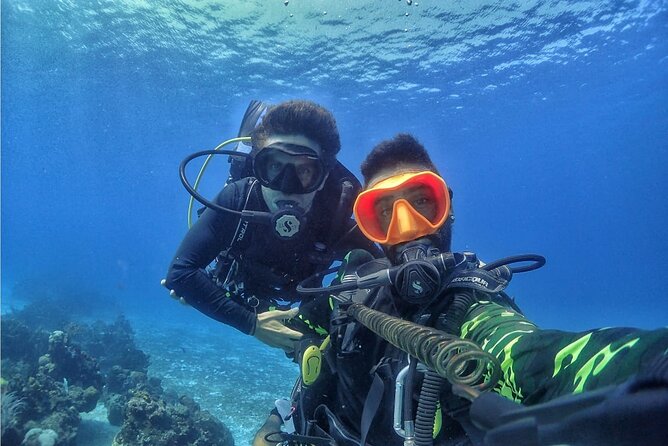 Introductory Diving Class in the Cozumel Reefs - Meeting Point Details