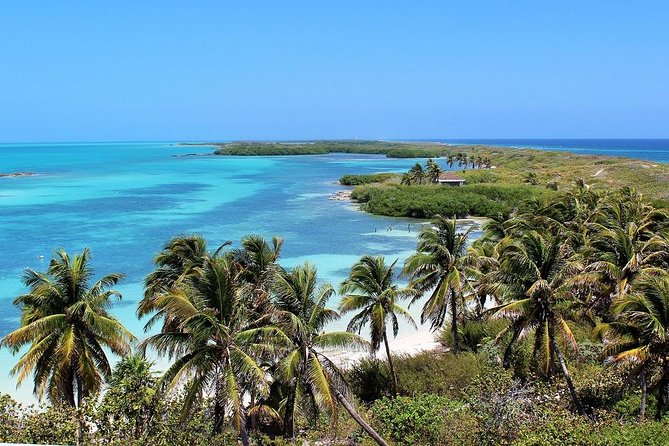 Isla Contoy & Isla Mujeres Tour From Cancun & Playa Del Carmen - Itinerary Overview