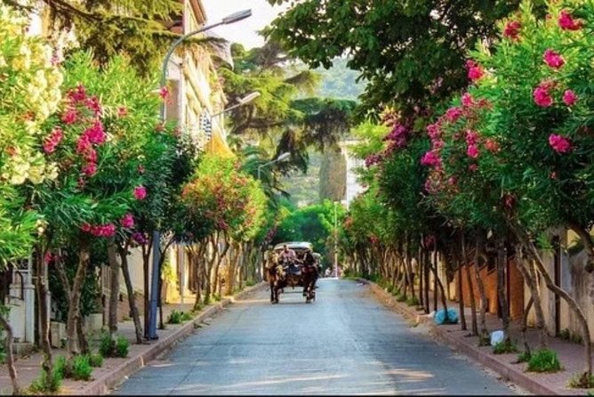 Istanbul Cruise Tour to the Princes Islands With Lunch - Activities and Attractions