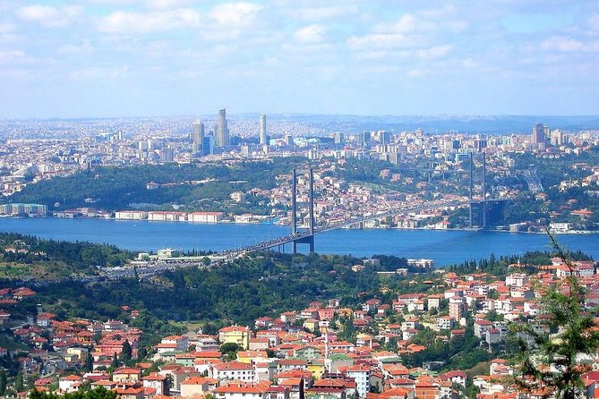 Istanbul Day Bosphorus Cruise, Dolmabace Palace and Asian Side Tour - Inclusions
