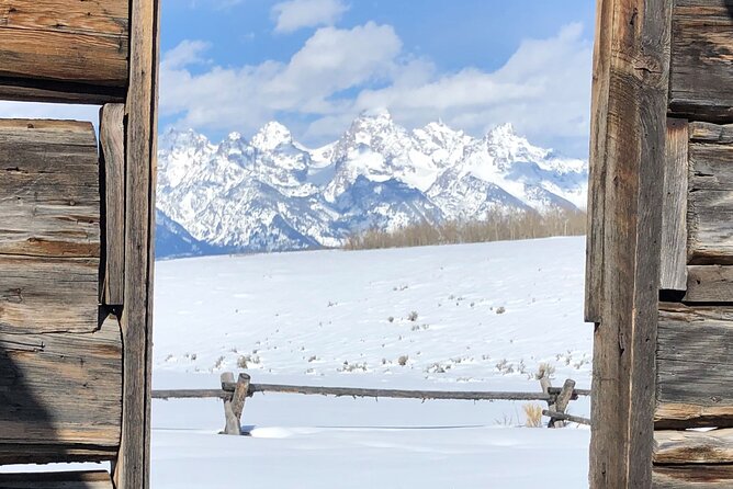 Jackson Hole & Grand Teton Park - Full-Day Wildlife Tour - Participation Requirements