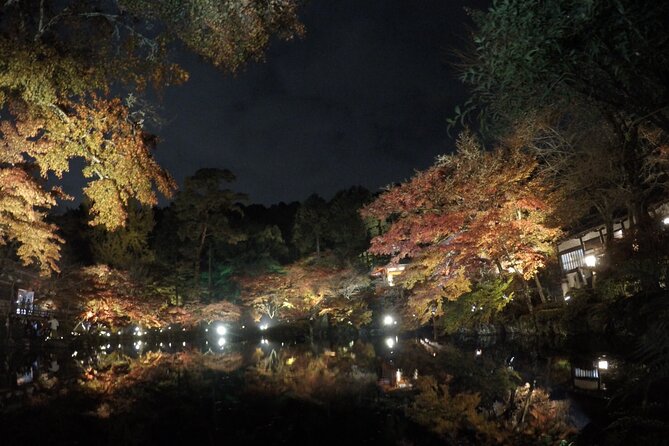 Japan Kyoto Online Tours Virtual Experience - Inclusions and Exclusions