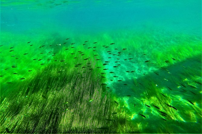 Japans No. 1 Water Quality National Lake Shikotsu, Hokkaidos First Landing Clear Kayak Tour Difficulty Level (Medium) - Meeting Point and Pickup