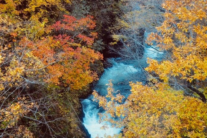 Jozankei Autumn Leaves Day Tour by Private Car - Transportation and Accessibility