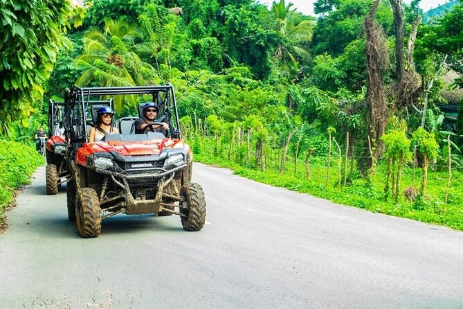 Jungle Buggies and River Swim in Punta Cana - Pricing and Inclusions