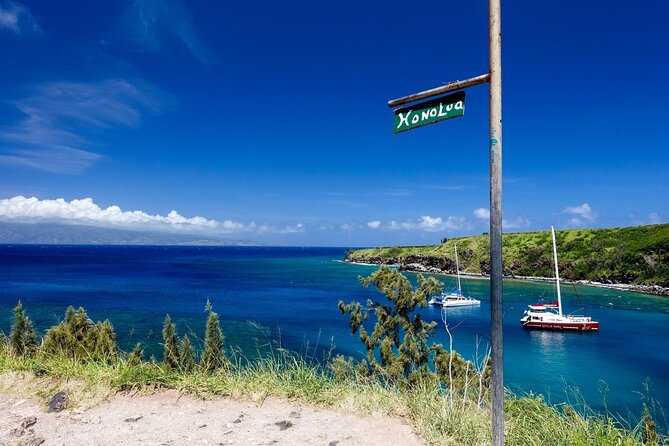 Kaanapali to Kapalua Maui Explorer Electric Bike Rental - Health and Safety Requirements