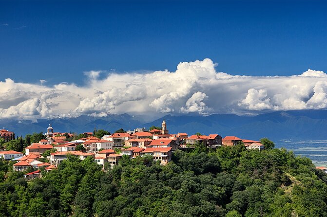 Kakheti Private: Wine, History, and City of Love - Taste the Finest Georgian Wines