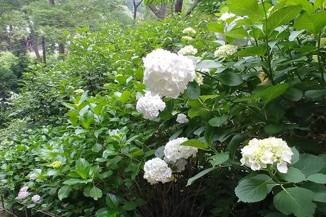 Kamakura and Eastern Kyoto With Lots of Temples and Shrines - Kamakura: The Medieval Capital