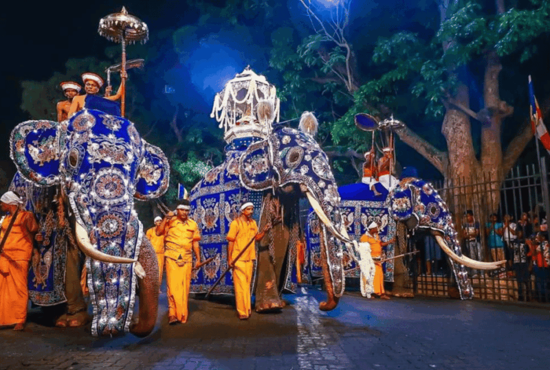 Kandy: Esala Perahera Festival Ticket 2024- August 15th-19th - Booking Details