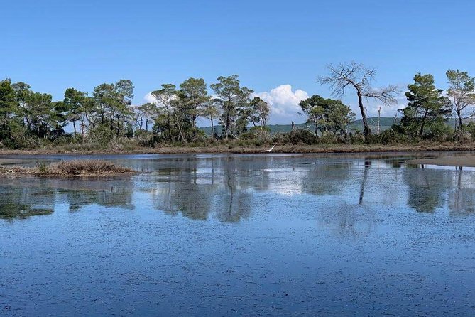 Karavasta Lagoon and Boat Trip - Daily Tour From Tirana - Inclusions and Exclusions