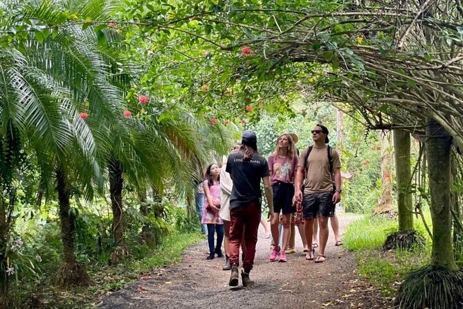 Kauai Chocolate Farm Tasting Tour - Cacao Cultivation and Chocolate Production