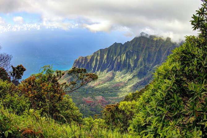 Kauai Island Private Guided Tour-Waimea Canyon From Lihue/Kapaa - Pickup Information and Customization Options