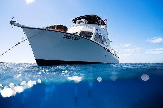 Kauais Exclusive Morning Scuba Charter for Experienced Divers - Details and Inclusions