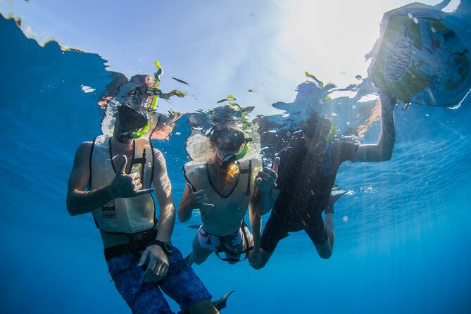 Kauais Ultimate Guided Shore Snorkel (NO BOAT): North Anini - Inclusions and Meeting Details