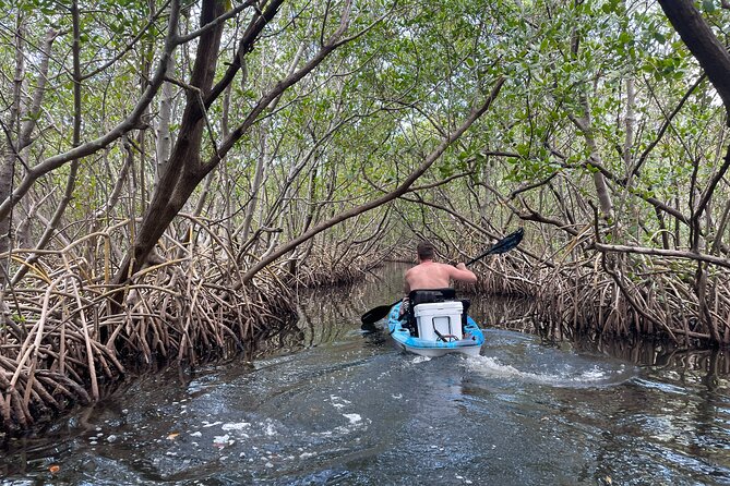 Kayak Adventure at Shell Key Preserve Review - Getting to the Launch Site