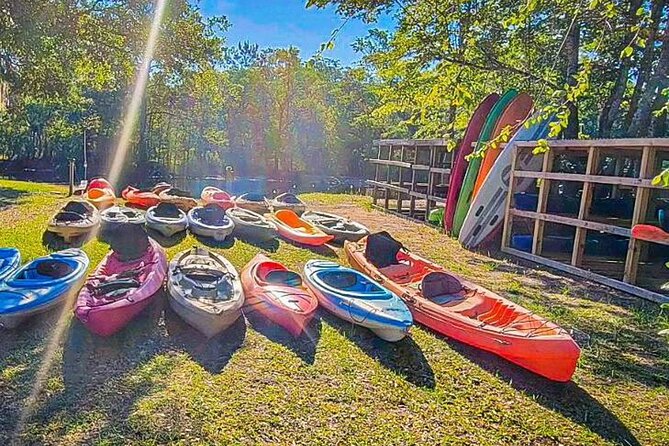 Kayak Rental on the Waccamaw River Review - Pricing and Reservation Options