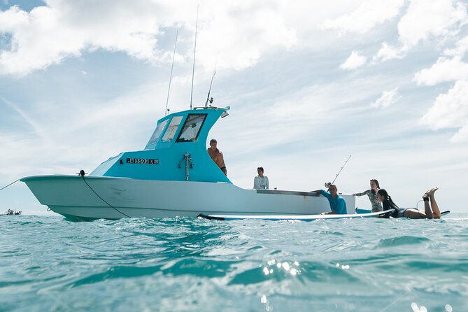 Kayak, Snorkel, and Surf With Turtles in Honolulu - Snorkeling With Turtles
