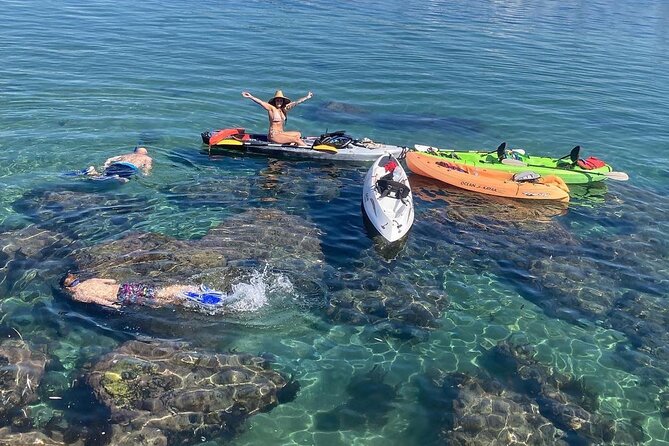 Kayaking With Sea Lions in a Calm Beautiful Harbor - Included Amenities and Facilities