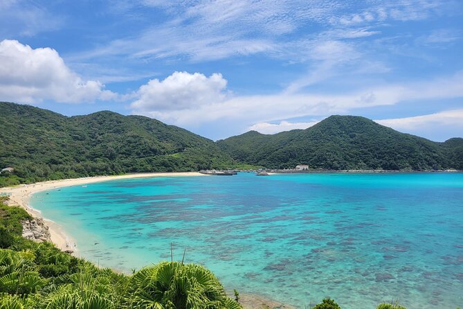Kerama Tokashiki Island and Whale Watching Tour - Health and Safety Information