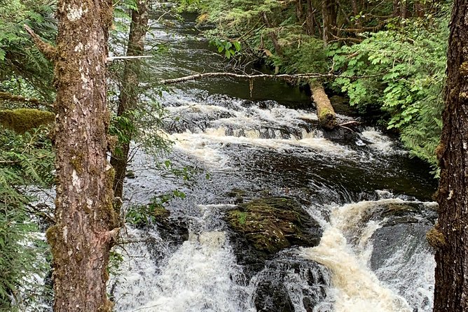 Ketchikan Exclusive Private Group Tour (Price up to 11 Passengers) - Customizable Tour Options