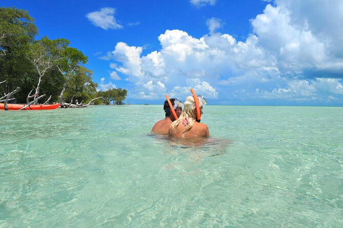 Key West Island Eco Tour With Transportation From Miami - Included Amenities