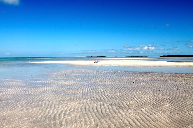 Key West Sandbar/Eco Trip Ran by Husband and Wife Naturalist Team - Meet Your Naturalist Guides