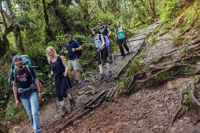 Kilimanjaro Climb Lemosho Route 8 Days - Itinerary for the 8-Day Trek