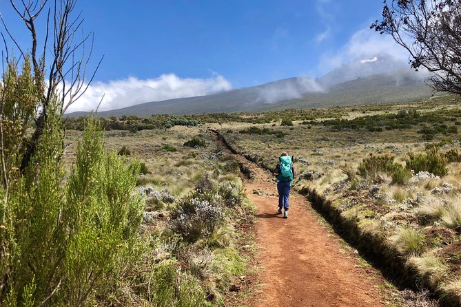 Kilimanjaro: Lemosho Route and Camping Safari - Detailed Itinerary