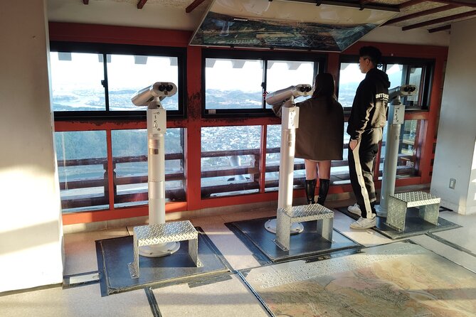 Kintai Kyo Bridge and Iwakuni Castle With Local Guide - Ropeway Ride to Iwakuni Castle