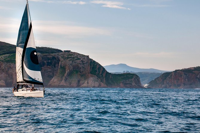 Knysna Day Sail & Lunch Charter 2.5 Hour - Whats Included in the Experience