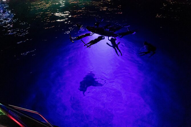 Kona Night Manta Snorkel Tour - Booking and Cancellation Policy