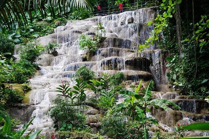 Konoko Falls and Garden Tour From Falmouth - Itinerary Highlights