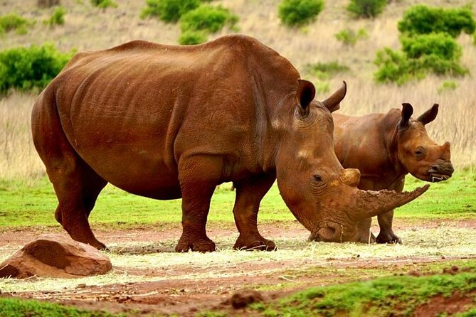 Kruger National Game Park Three Day PRIVATE Tour - Itinerary Overview