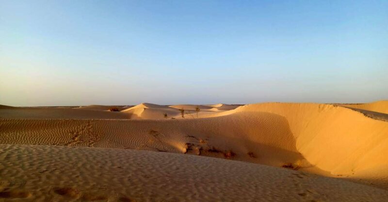 Ksar Ghilan (Oasis) One Day Tour : Starting From Djerba - Experience Highlights
