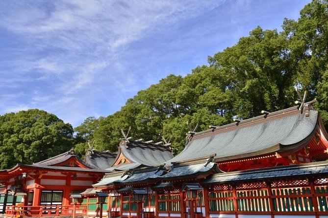Kumano Kodo Pilgrimage Full-Day Private Trip With Government Licensed Guide - Exploring the Wakayama Prefecture Landscape