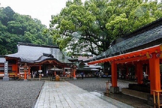 Kumanokodo 1 Day Walking Tour - Meeting and Pickup