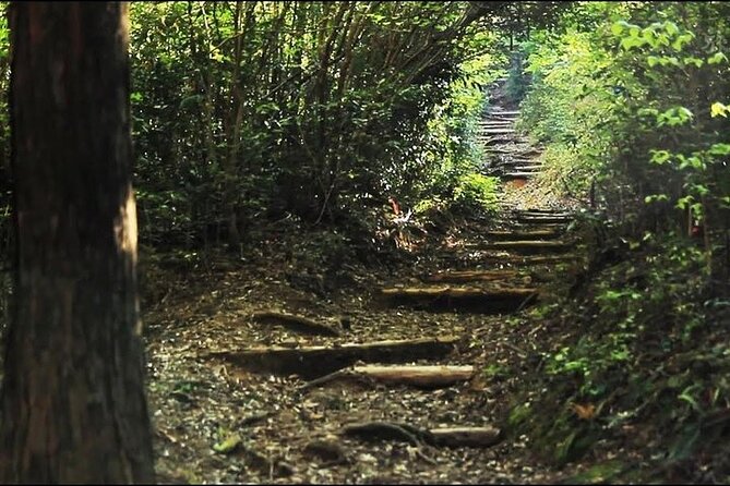 Kumanokodo 2 Day Walking Tour From Osaka - Health and Fitness Requirements