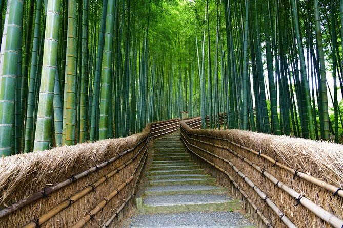 Kyoto and Miyama Full Day Tour From Osaka - Inclusions