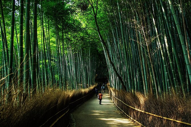 Kyoto: Flexible 3 Hours Tour With a Local Guide - Convenient and Accessible Experience