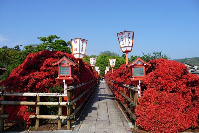 Kyoto Highlights Eastern Western Northern and Southern Routes - Inclusions and Fees