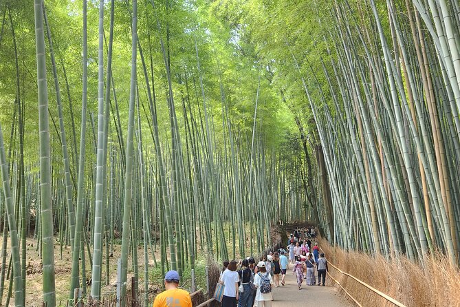 Kyoto Highlights of 6 Hour Private Car Tour - Pickup Information