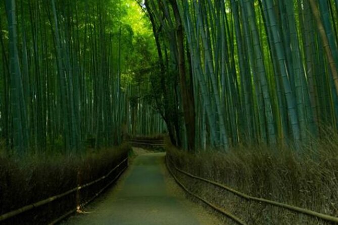 Kyoto ITALIAN GUIDE Golden Pagoda Bamboo Forest Dry Garden - Inclusions