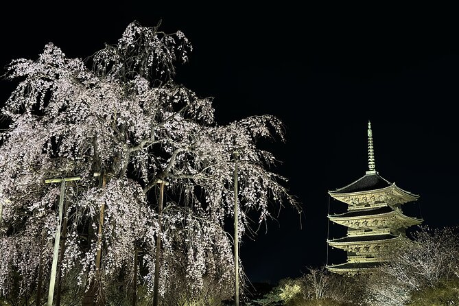 Kyoto/ Private Tour Delivered and Guided by a Top-Tier Driver - Inclusions